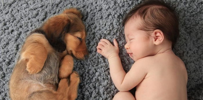 Study says this is how you should talk to your baby