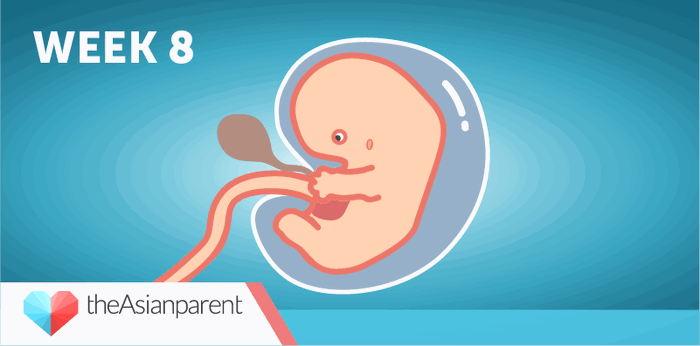 Bawat linggo ng iyong pagbubuntis: Ikaw at si baby sa ika-8 linggo