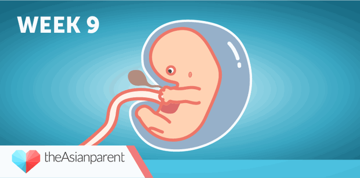 Bawat linggo ng iyong pagbubuntis: Ikaw at si baby sa ika-9 linggo