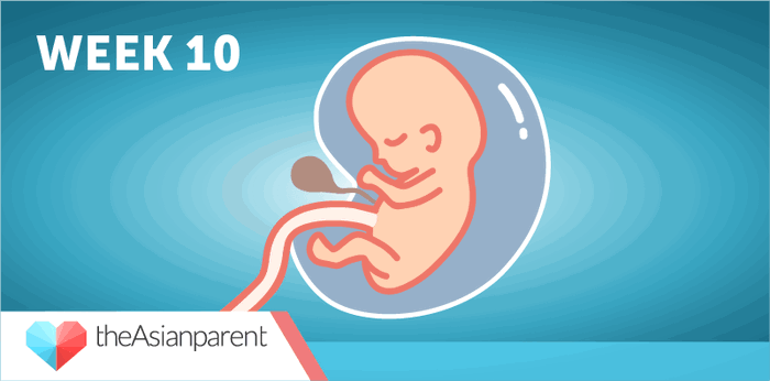 Bawat linggo ng iyong pagbubuntis: Ikaw at si baby sa ika-10 linggo