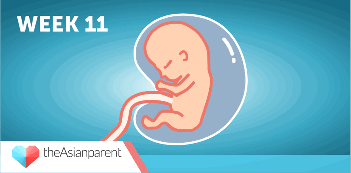 Bawat linggo ng iyong pagbubuntis: Ikaw at si baby sa ika-11 linggo