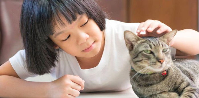 Parvovirus B19: Sanhi, prevention, sintomas, at gamot