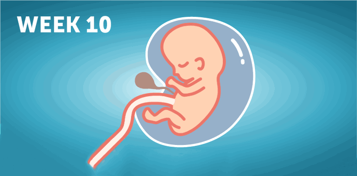 Buntis Guide: Sintomas ng 10 weeks na buntis at development ni baby sa loob ng sinapupunan