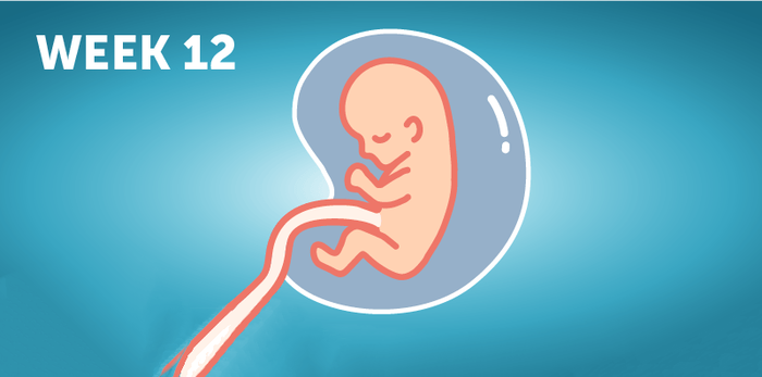 Buntis Guide: Sintomas ng buntis ng 12 weeks at ang mga dapat gawin