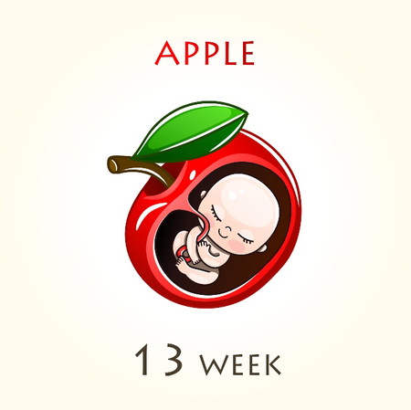 apple graphics ng 13 weeks na baby sa loob ng sinapupunan ng kaniyang ina