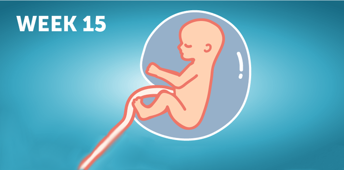 Buntis Guide: Sintomas at development ng baby sa ika-4 months ng pagbubuntis