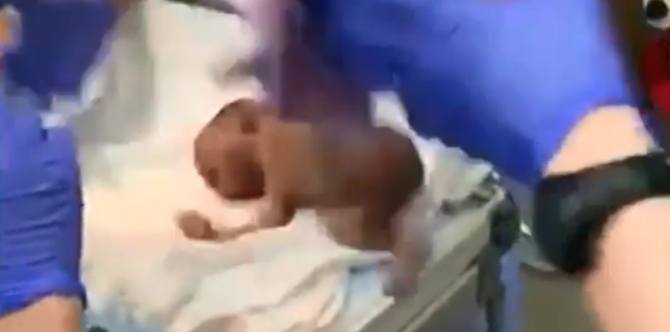 WATCH: Bagong panganak na sanggol, aksidenteng nahulog ng doktor