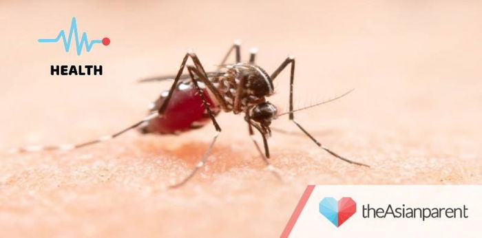 4 na paraan para maiwasan na magkaroon ng DENGUE sa bahay