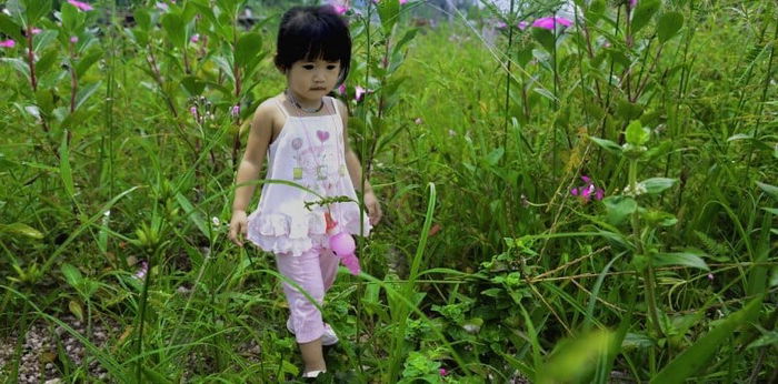Child development and milestones: Your 4-years-7-months-old