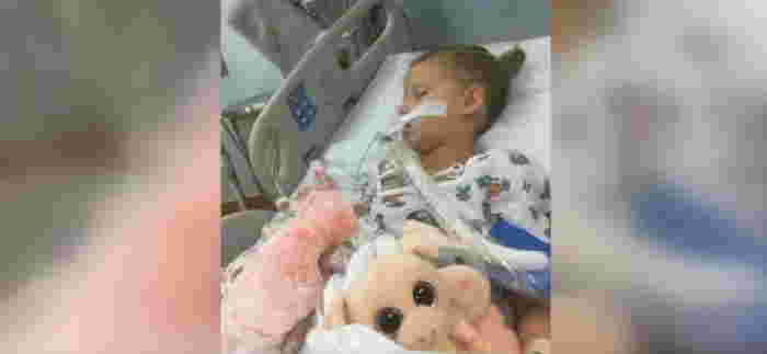 kagat ng garapata sa tao