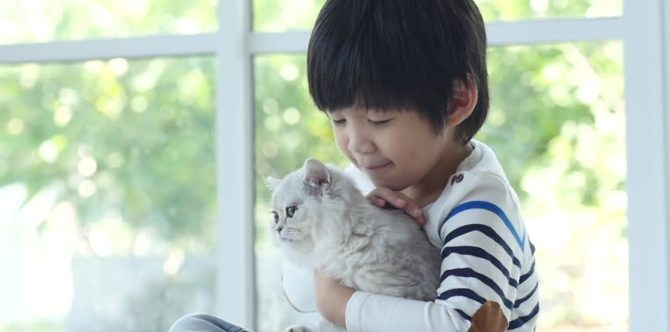 #FirstAid: Mga dapat gawin kapag nakalmot o nakagat ng pusa