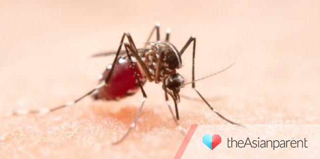 41-anyos na lalaki nagkaroon ng dengue matapos makipagtalik sa partner na positibo sa sakit