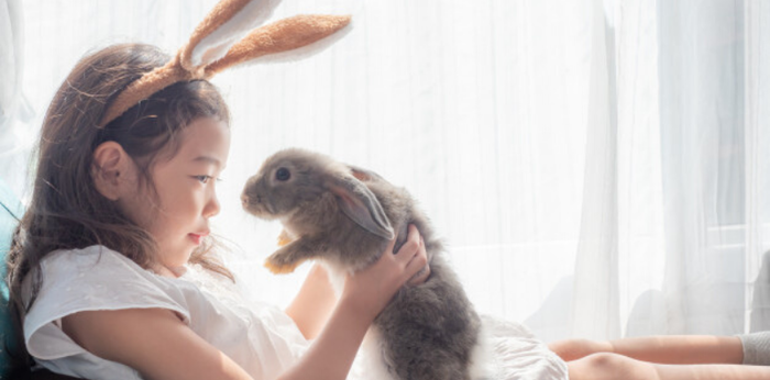 Development at milestones ng isang bata: 6 taon 7 buwang gulang