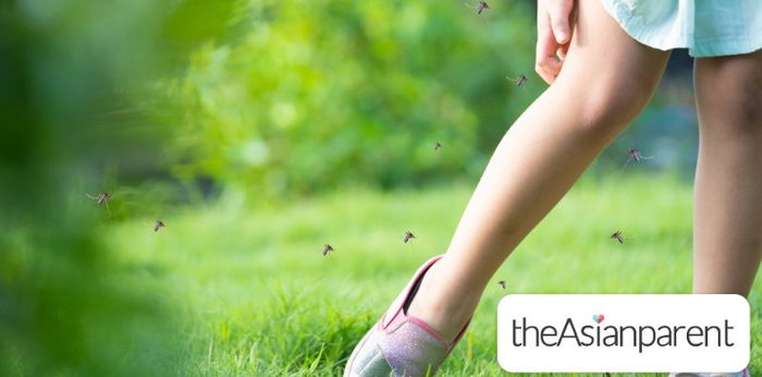 17 mosquito repellent plants na maaari mong itanim sa bahay