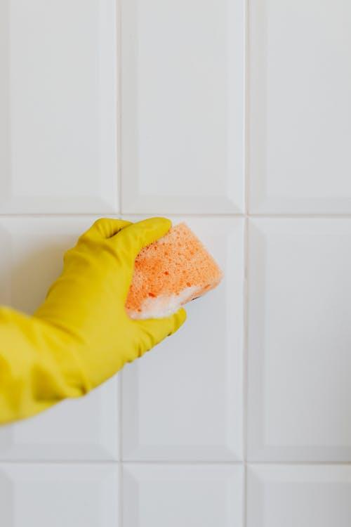 EEP! The 5 dirtiest things in your home