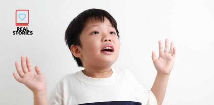 My kids explanation about Toy Kingdom