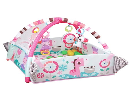 5-in-1 Jumbo Musical Activity Gym & Ball Pit