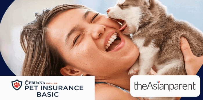 Protect the health of your fur babies with Cebuana Lhuillier Pet Insurance