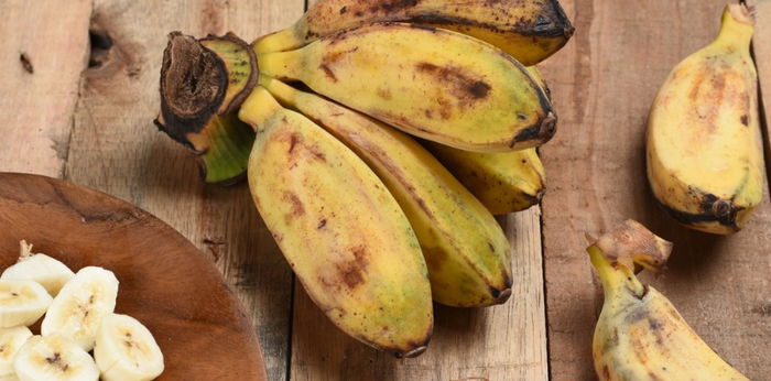 6 major health benefits na makukuha mula sa pagkain ng saging na saba