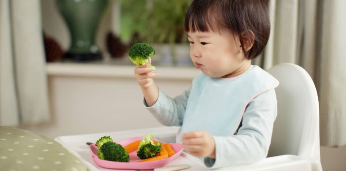 Toddler food recipe: What to feed you toddler