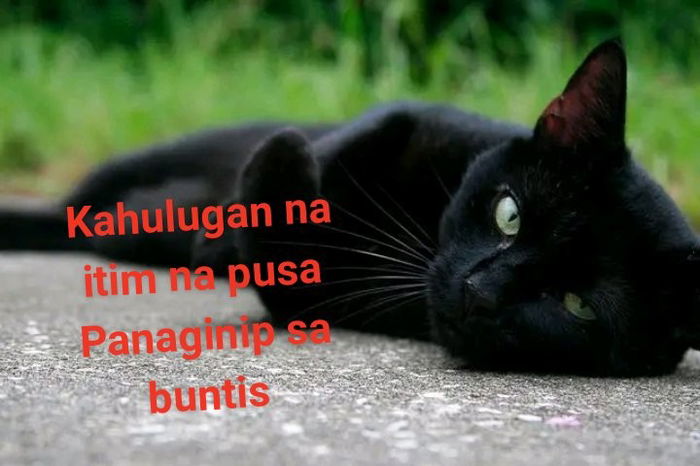 Kahulugan ng aking panaginip"
