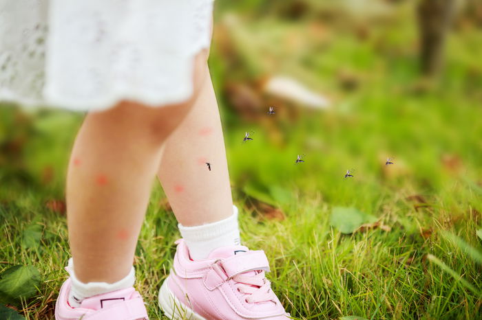 Why Insect Repellents Need to Be in Your Child’s Hygiene Routine