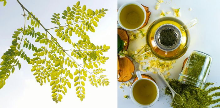 11 dahilan kung bakit tinatawag na "Superfood" ang Malunggay