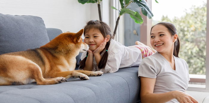 Where to Adopt a Pet in Metro Manila: Your Ultimate Guide for Families with Kids