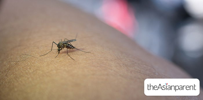 Dengue outbreak sa Quezon City, umabot na sa 10 ang namatay