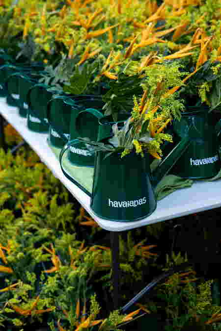 Step Into PAARK. Its literally the biggest thing havaianas has ever done.