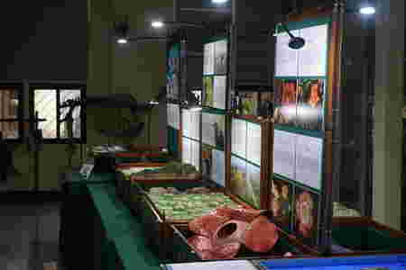 Top 10 Museum in the Philippines Every Filipino Family Should Visit