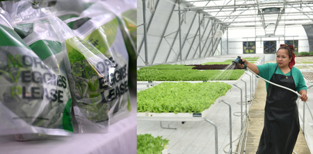 July 2025 Buzz: From Health Trends to K-Pop Collabs, Heres What Made Headlines This Month