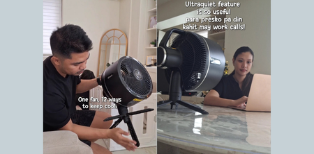 Can One Fan Really Do It All? Our Family-Tested, TAP-Proved Review of the SharkNinja FlexBreeze
