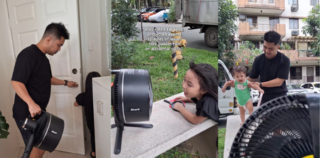 Can One Fan Really Do It All? Our Family-Tested, TAP-Proved Review of the SharkNinja FlexBreeze