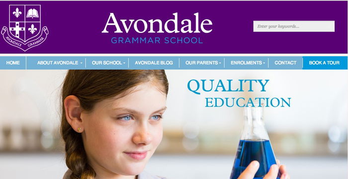 Avondale Grammar School Review