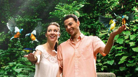Have a tweet-ful time at Jurong Bird Park