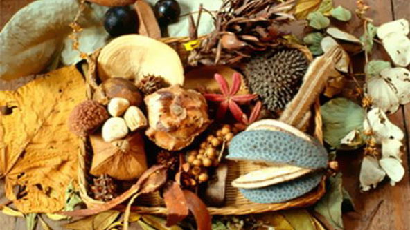 Visit The Jacobs Ballas Childrens Garden For The Best Playground