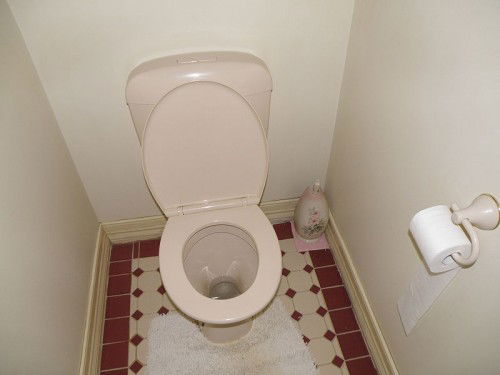 Help! My Kid Has Diarrhoea!