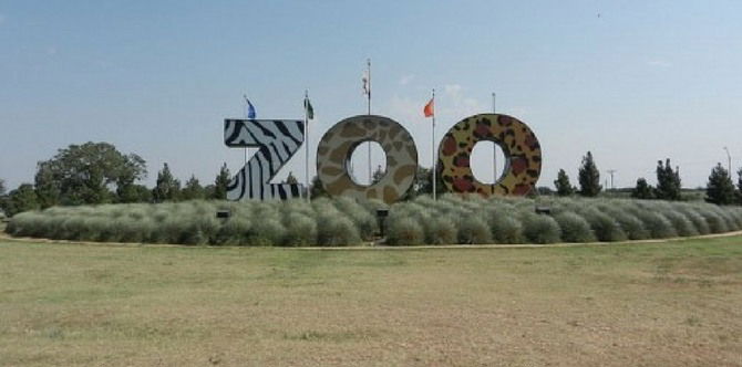 Have a Zoo-rific Time this Children's Day!