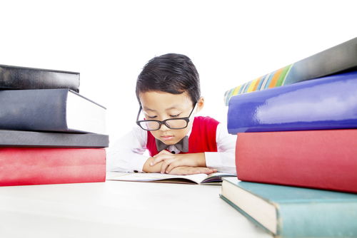 Top primary schools in the West