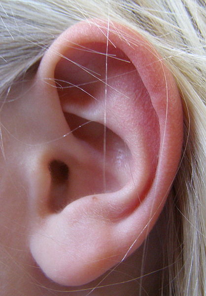 Support group for parents of kids with atypical hearing