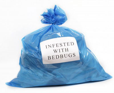 How to prevent a bed-bug infestation