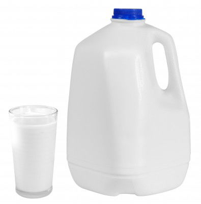 Bacteria found in milk powder