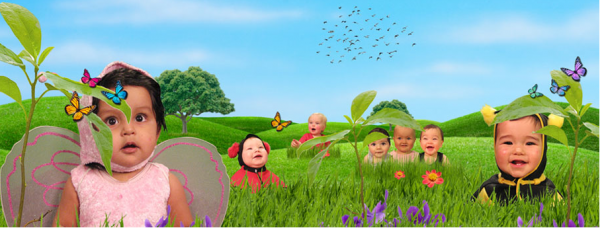 Baby to Baby DVD review