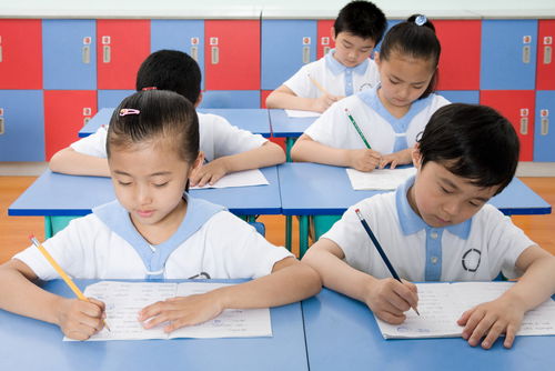 Primary 1 registration woes