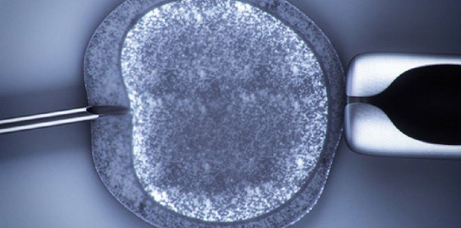 Woman wins custody of 12 embryos