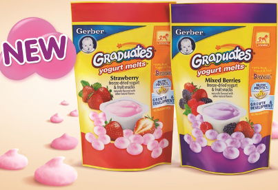 Healthy lunch snacks for kids