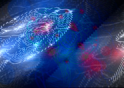 How people with a high IQ see the world