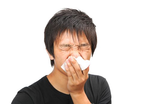 Tips to better the air quality at home