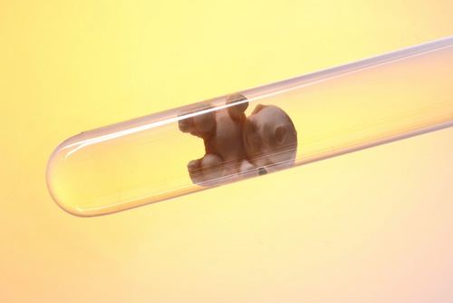 First step to creating designer babies: three-parent IVF